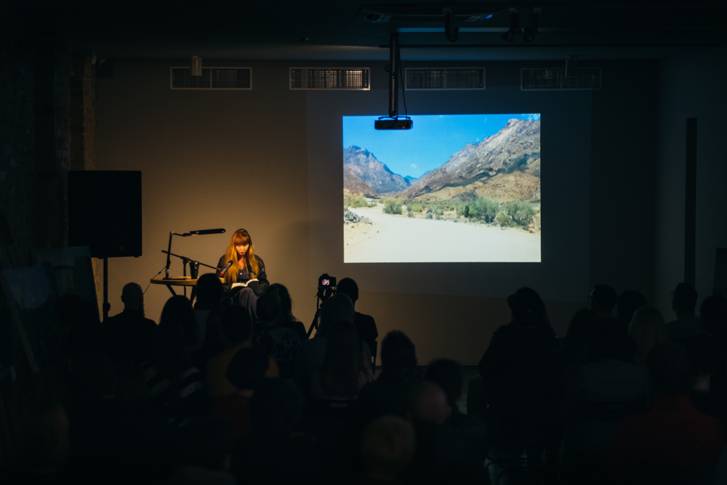 This Is Not a Dramatic Reading | happening / audio-videoart